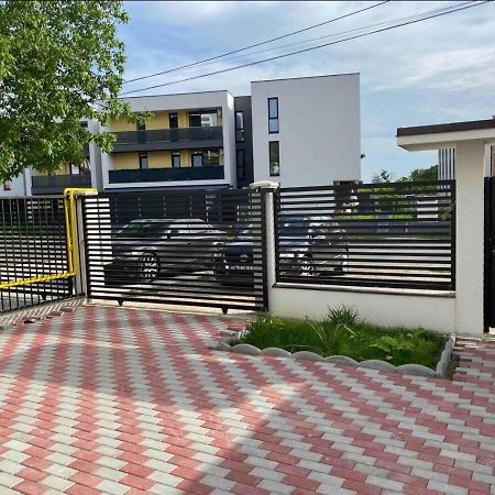 Cozy Apartament With 2Rooms 蒂米什瓦拉 外观 照片