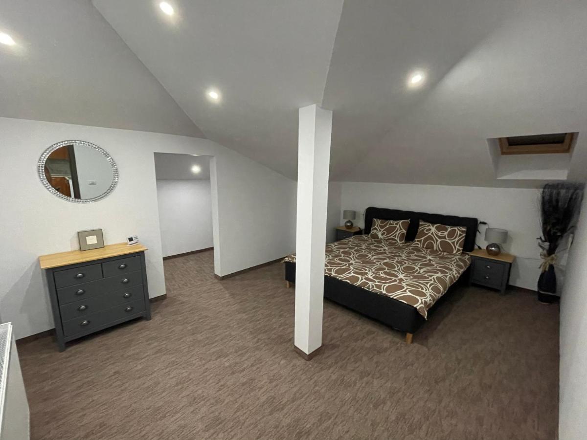 Cozy Apartament With 2Rooms 蒂米什瓦拉 外观 照片