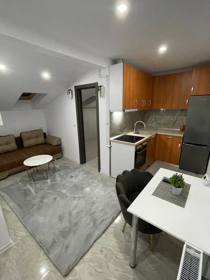 Cozy Apartament With 2Rooms 蒂米什瓦拉 外观 照片