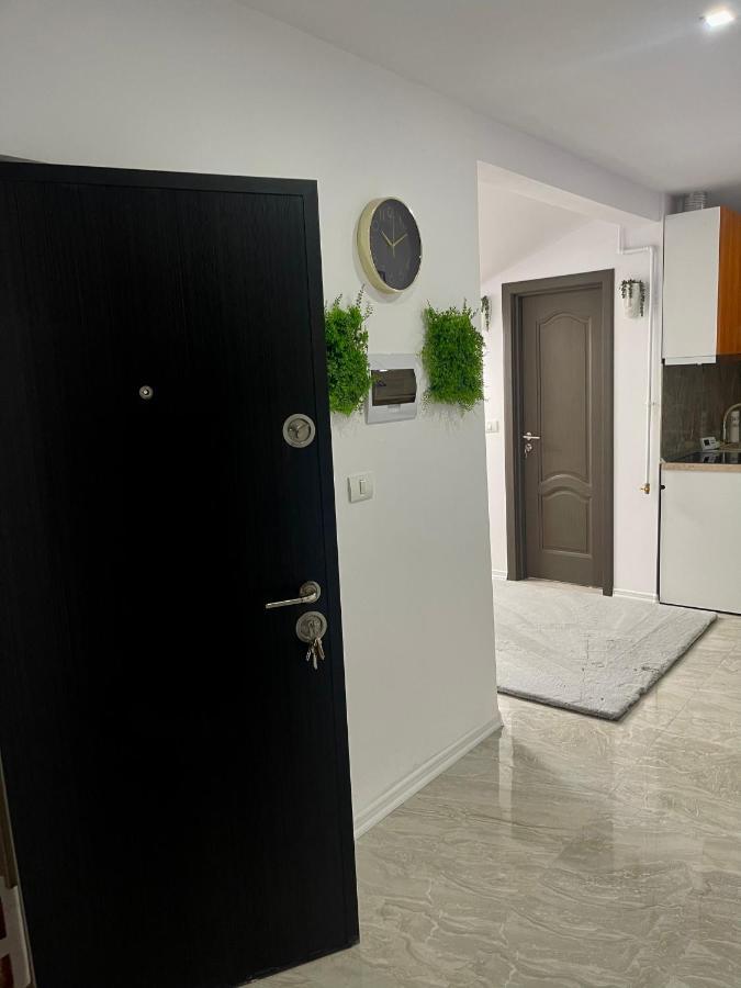 Cozy Apartament With 2Rooms 蒂米什瓦拉 外观 照片