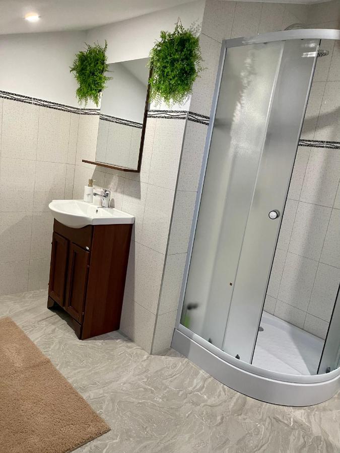 Cozy Apartament With 2Rooms 蒂米什瓦拉 外观 照片