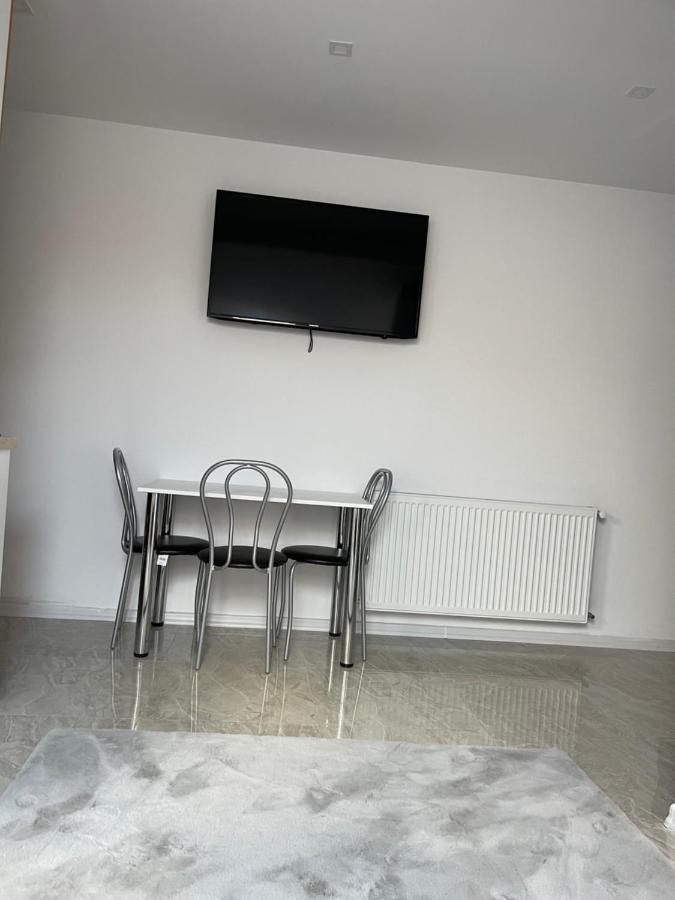 Cozy Apartament With 2Rooms 蒂米什瓦拉 外观 照片